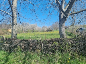 Gradina intravilan 16 arii - imagine 4