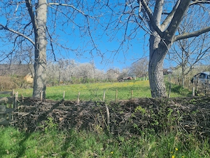 Gradina intravilan 16 arii - imagine 3