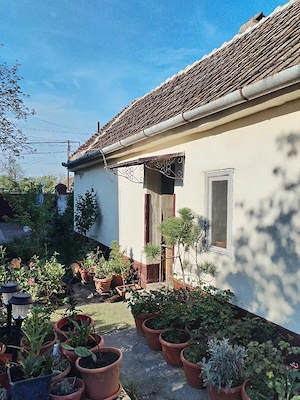 Vând sau schimb casa Opatita - imagine 7