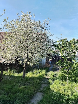 Vând sau schimb casa Opatita - imagine 10