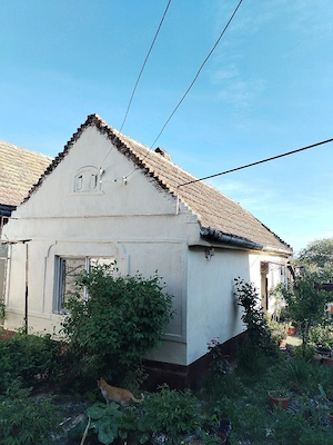 Vând sau schimb casa Opatita - imagine 4