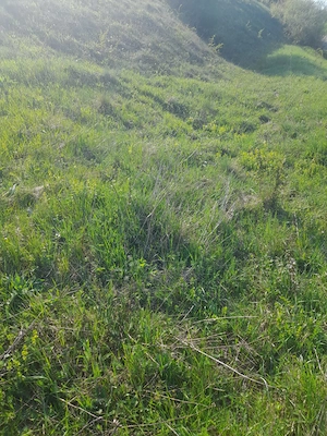 Vând teren intravilan  - imagine 7