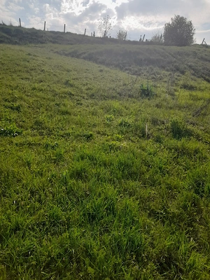 Vând teren intravilan  - imagine 12