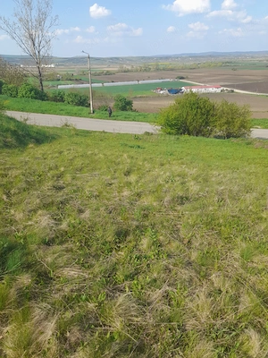 Vând teren intravilan  - imagine 5