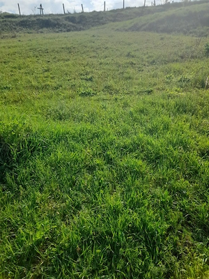 Vând teren intravilan  - imagine 2