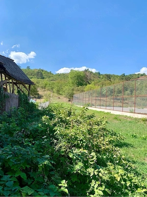 Casa de vanzare cu actele in regula - imagine 8