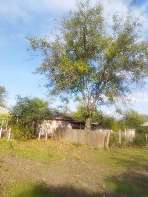 Casa și teren de vânzare - imagine 4