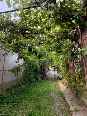 Casa de vanzare cu actele in regula - imagine 10