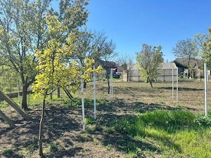 Casa Batraneasca -Varias. - imagine 2