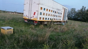 Camion apicol Mercedes Atego