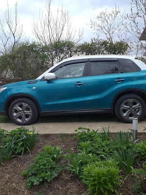 Vand auto  - imagine 2