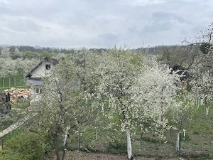 Buzesti(Farcasa), linga Biserica,casa 2 camere, baie, beci , anexe ,20 ari gradina ,pret 68.000 euro - imagine 6