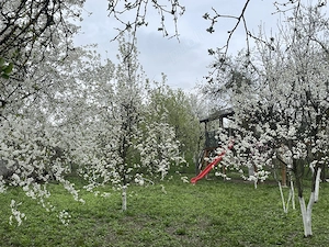 Buzesti(Farcasa), linga Biserica,casa 2 camere, baie, beci , anexe ,20 ari gradina ,pret 68.000 euro - imagine 7