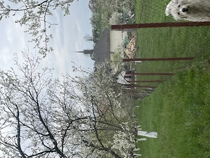 Buzesti(Farcasa), linga Biserica,casa 2 camere, baie, beci , anexe ,20 ari gradina ,pret 68.000 euro - imagine 10