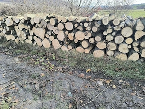 Vand lemne de foc esenta tare carpen cu stejar 