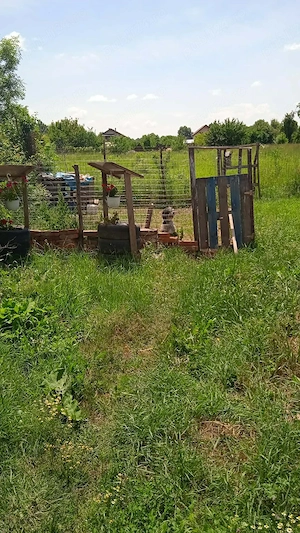 Vand casa + gradina! - imagine 2