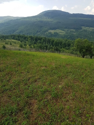 Teren de vanzare talea prahova  - imagine 4