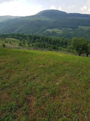 Teren de vanzare talea prahova  - imagine 2