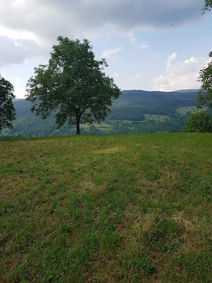 Teren de vanzare talea prahova  - imagine 3