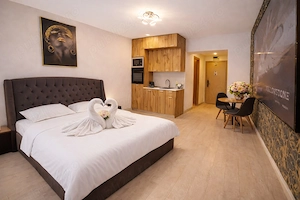 Cazare Regim Hotelier București   Rin Grand | Studio & Apartamente Moderne - imagine 2