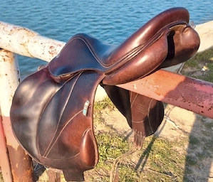 Sa sarituri-Voltaire design Lexington