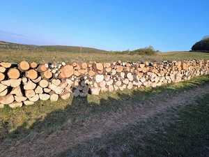 lemne de foc carpen si stejar transport la domiciliu 
