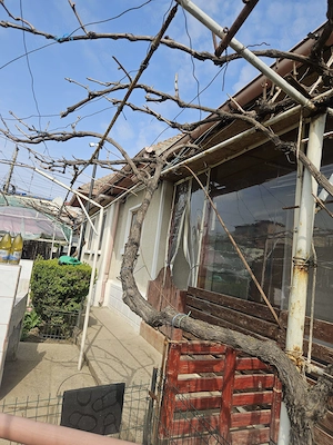 Vand casa si teren Tulcea - imagine 8