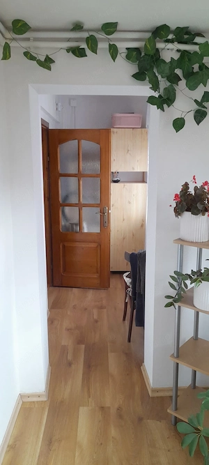 Vand casa si teren Tulcea - imagine 9