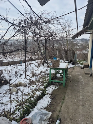 vanzare teren si casa in Bestepe, jud. Tulcea - imagine 5