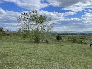 Teren extravilan Ocolis - 6864 mp - imagine 2