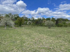 Teren extravilan Ocolis - 6864 mp - imagine 3