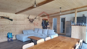 Casa Vacanta Rucar Saticu de Jos Arges - imagine 14