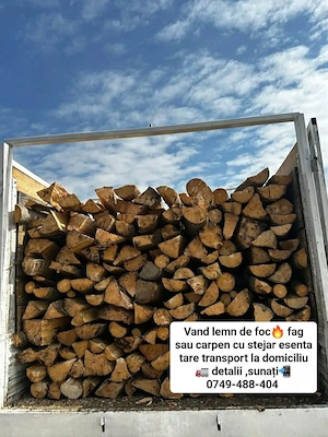 Lemne de foc carpen fag 