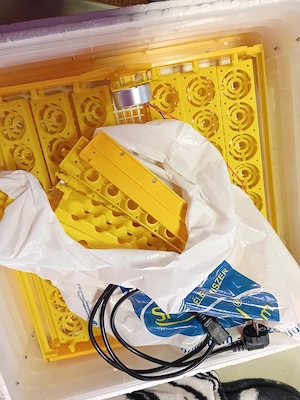 vand incubator automat  - imagine 2