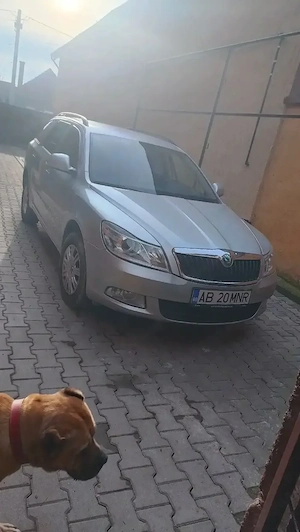 Skoda Octavia 4x4 - imagine 2