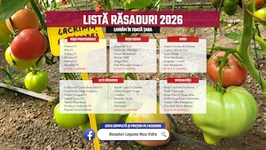 Rasaduri | Rasad rosii romanesti si hibrizi, ardei, vinete, castraveti