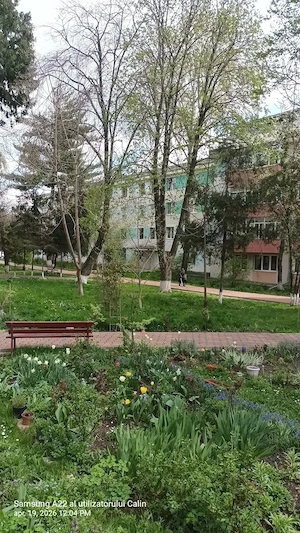 Apartament 3 camere in Suceava, multiple imbunatatiri, centrala termica, zona centrala, frumoasa. 