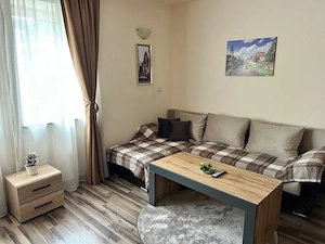Apartament 2 camere    Zonă Modern - imagine 5