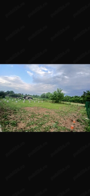 Teren Snagov aproape de pădure - imagine 8