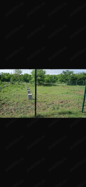 Teren Snagov aproape de pădure - imagine 4