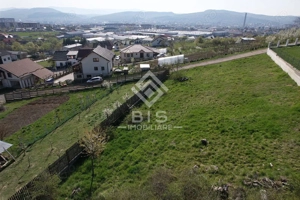 Teren de vanzare 10 ari - zona LEONI - imagine 6