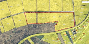 Extravilan la LUGOJ - imagine 3