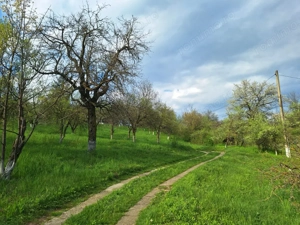 Moșia boierească din vârf de deal, Scorțeni - Prahova, comision 0%