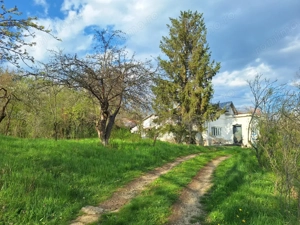 Moșia boierească din vârf de deal, Scorțeni - Prahova, comision 0% - imagine 2