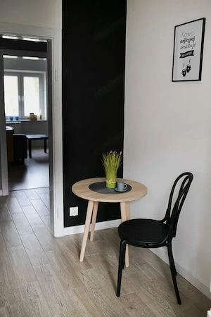 Apartament 2 camere  Zona Șagului Pet-friendly  - imagine 5
