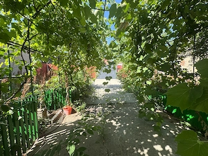 CASA CU  teren de vânzare  - imagine 2