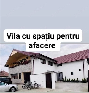 Vila in Dudestii Noi 