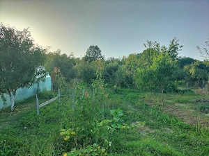 Casă la țară cu livadă, grădină și aer curat - Vultureşti, Argeș - imagine 5