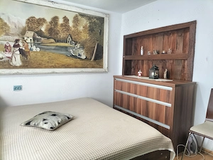 Casă la țară cu livadă, grădină și aer curat - Vultureşti, Argeș - imagine 11