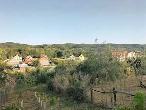 Casă la țară cu livadă, grădină și aer curat - Vultureşti, Argeș - imagine 22